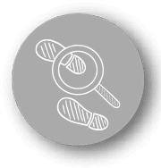Investigación - FGJ TAMAULIPAS